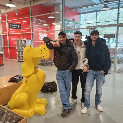 Drei Jungs und ein großer, gelber Hund. 